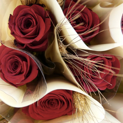 Roses de Sant Jordi, 2023