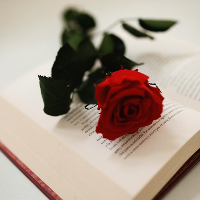 Sant Jordi, Llibre i Rosa, Recurs, 2023
