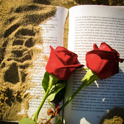 Sant Jordi, Llibre i rosa, Estiu, 2020