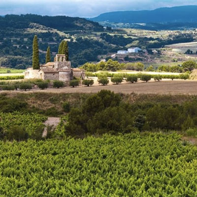 Passejada a la vinya a la verema amb tastos i pica-pica a la posta de sol, Celler Sumarroca, 2020