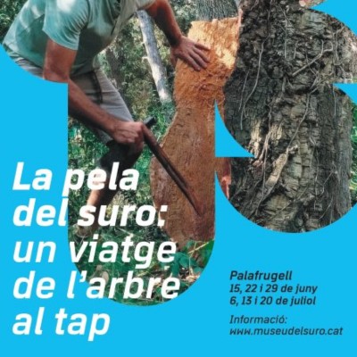 La pela del suro: un viatge de l'arbre al tap, Museu del Suro de Palafrugell, 2025 La pela del suro: un viatge de l'arbre al tap, Museu del Suro de Palafrugell, 2025
