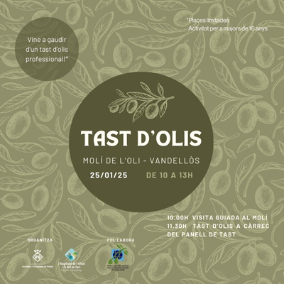 Tast d'Olis i visita al Molí de Vandellòs, 2025 Tast d'Olis i visita al Molí de Vandellòs, 2025