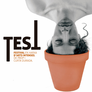 Festival Test Festival Test