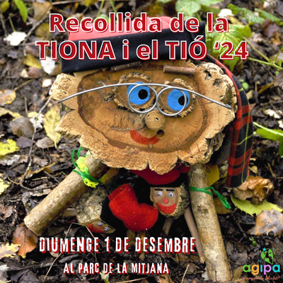 Recollida de la Tiona i el Tió amb Agipa, 2024 Recollida de la Tiona i el Tió amb Agipa, 2024