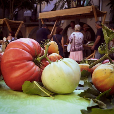 Tomàquets, Fira de la Tomaca del Priorat