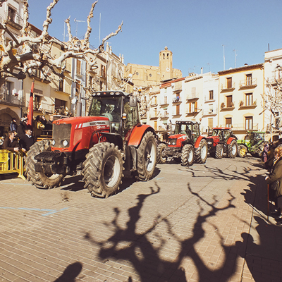 Festa de Sant Antoni i Tres tombs a Balaguer, 2023