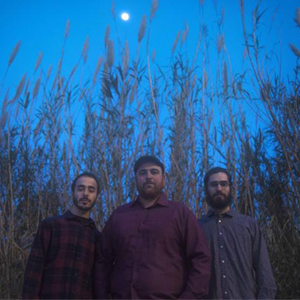 VTV Jazz Trio