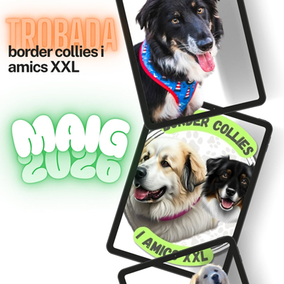 II Trobada de Border Collies i Amics XXL - Tivissa 2026