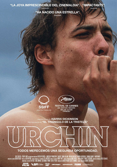 Urchin