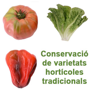 Jornada 'Conservació de varietats hortícoles tradicionals' Jornada 'Conservació de varietats hortícoles tradicionals'
