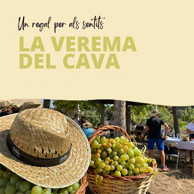 La Verema del Cava, 2024 La Verema del Cava, 2024