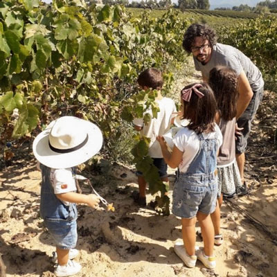 Fes de veremador per un dia + Brunch al Penedès, Celler Vilarnau