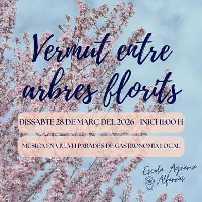 Vermut entre arbres florits a Alfarràs, 2026
