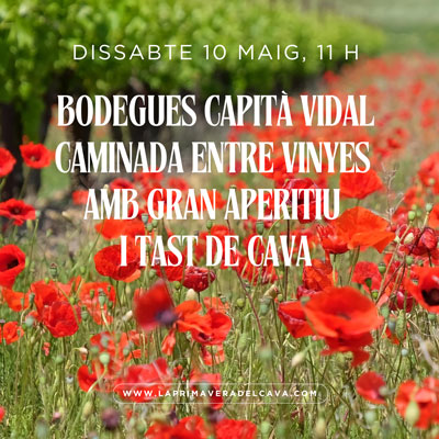 Bodegues Capità Vidal, Caminada entre vinyes, la Primavera del Cava, 2025 Bodegues Capità Vidal, Caminada entre vinyes, la Primavera del Cava, 2025