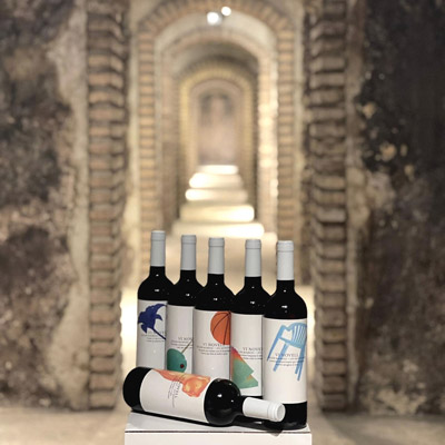 Vi Novell del Celler Masroig, 2021 Vi Novell del Celler Masroig, 2021