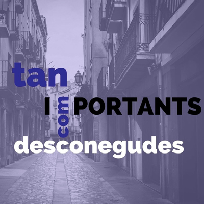 Visita guiada 'Tan Importants com Desconegudes', Cervera, 2021 Visita guiada 'Tan Importants com Desconegudes', Cervera, 2021