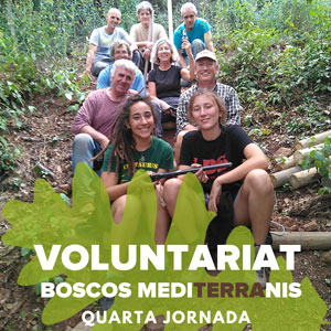 Voluntariat Boscos Mediterranis - Dies 16 i 17 de novembre Bosc de Poblet 2019