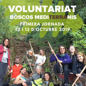 Voluntariat Boscos Mediterranis - Dies 12 i 13 octubre Bosc de Poblet 2019 Voluntariat Boscos Mediterranis - Dies 12 i 13 octubre Bosc de Poblet 2019