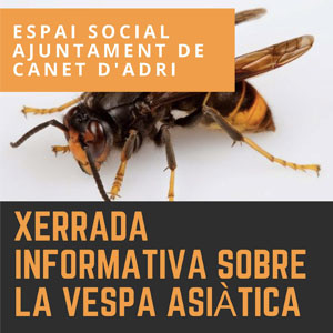 Xerrada informativa vespa asiàtica a Canet d'Adri