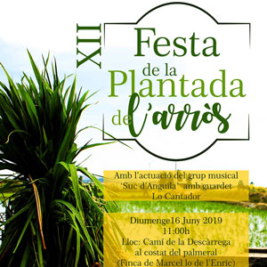 XII Festa de la plantada de l'arròs - L'Ampolla 2019