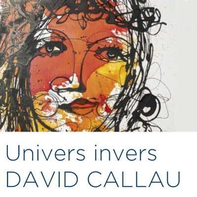 Exposició 'Univers invers', de David Callau Gené