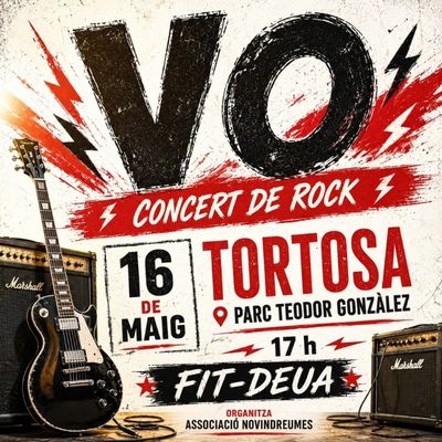 Concert de Versió Original, Versió Original, 