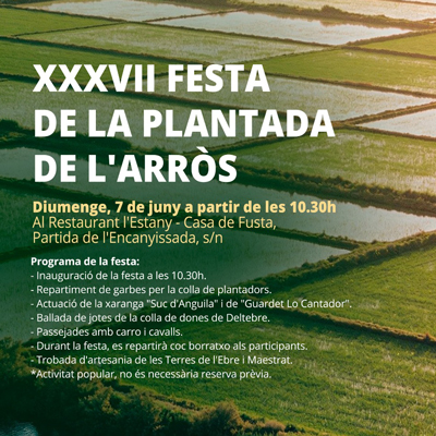 Festa de la Plantada de l'arròs - Amposta 2026