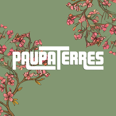 Festival Paupaterres, Tàrrega, 2026