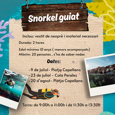 Snorkel guiat - l’Ampolla 2026