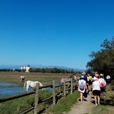 Fem camí als aiguamolls - Sant Pere Pescador 2026