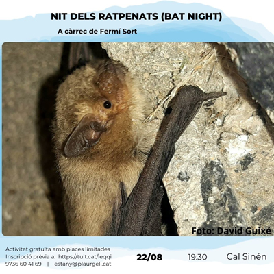 La nit dels ratpenats, Cal Sinén, Estany d'Ivars, Ivars d'urgell, 2026