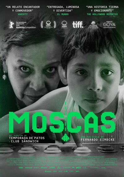Moscas Moscas