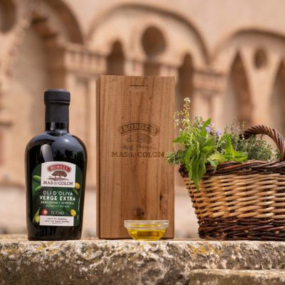 Sabors d'Olivera: Tast, Terra i Tradició, Mas de Colom, Tàrrega, 2026