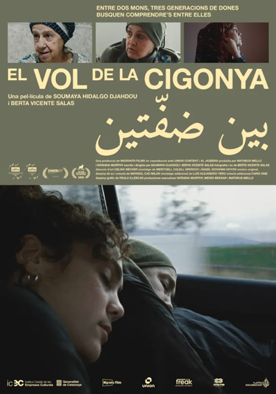 El vol de la cigonya