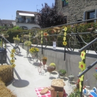 Festa de les Flors Festa de les Flors