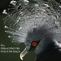 4a Fira-concurs d'Aus de Raça