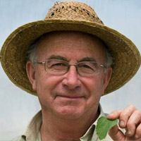 Josep Pàmies