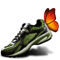 Cursa: La Cocollona Night Run Girona Cursa: La Cocollona Night Run Girona