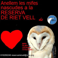 Anellem les mifes nascudes a la Reserva de Riet Vell