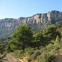 Parc Natural de Montsant