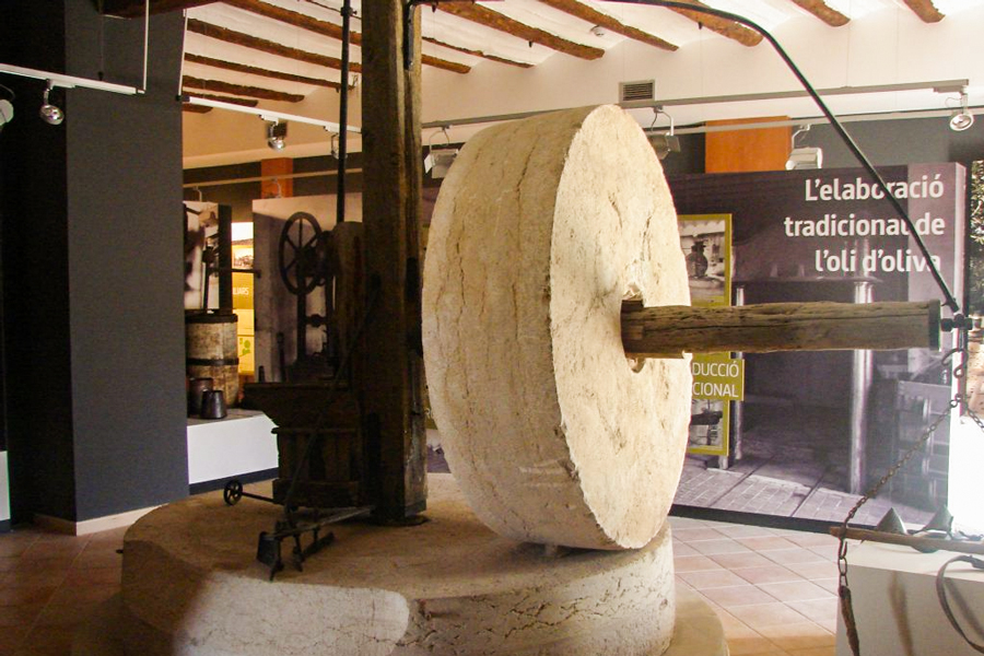 Museu de la Vida a la Plana Museu de la Vida a la Plana