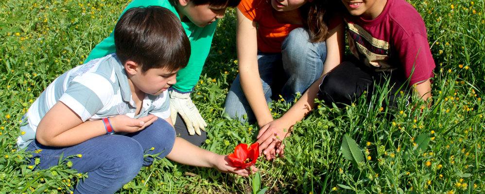 Escola de Naturalistes Lo Caro Roquetes