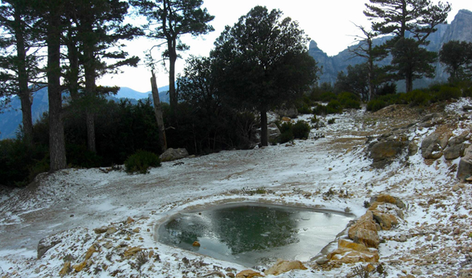 Els ports nevats