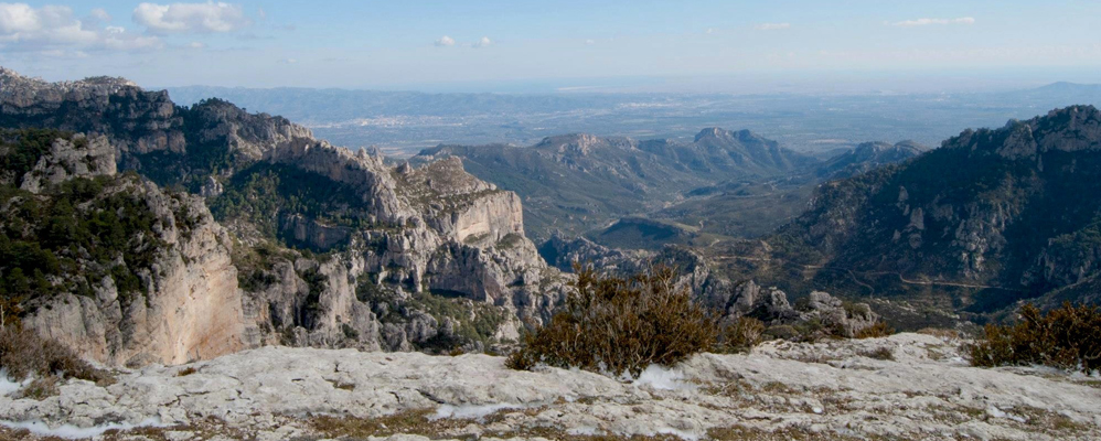 Els ports nevats