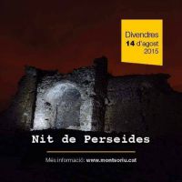 Nit de Perseides al Castell de Montsoriu Nit de Perseides al Castell de Montsoriu