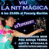 La Nit Màgica - L'Ampolla 2014