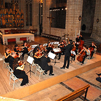 OCTO - Orquestra de Cambra de Tortosa OCTO - Orquestra de Cambra de Tortosa