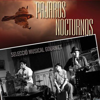 Pájaros nocturnos 