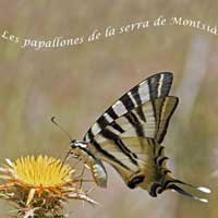 Exposició 'Les papallones de la serra del Montsià'