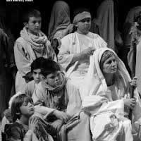 pastorets_roses_nadal